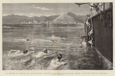 Ein Hai-Alarm, eine unangenehme Unterbrechung beim Baden von einem Kriegsschiff in Malaga